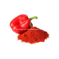 Paprika powder red color